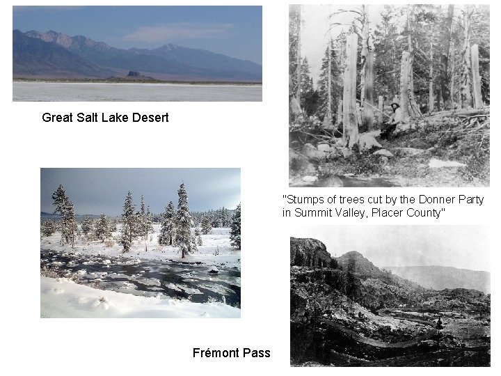 Great Salt Lake Desert "Stumps of trees cut by the Donner Party in Summit