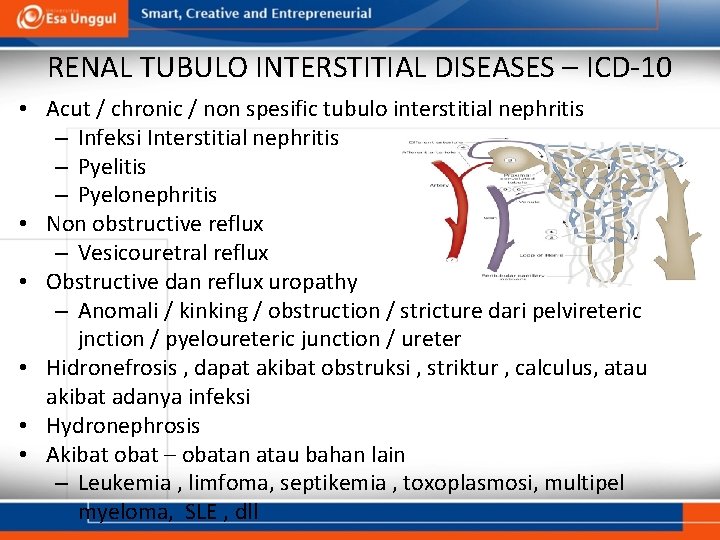 RENAL TUBULO INTERSTITIAL DISEASES – ICD-10 • Acut / chronic / non spesific tubulo