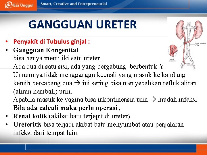 GANGGUAN URETER • Penyakit di Tubulus ginjal : • Gangguan Kongenital bisa hanya memiliki