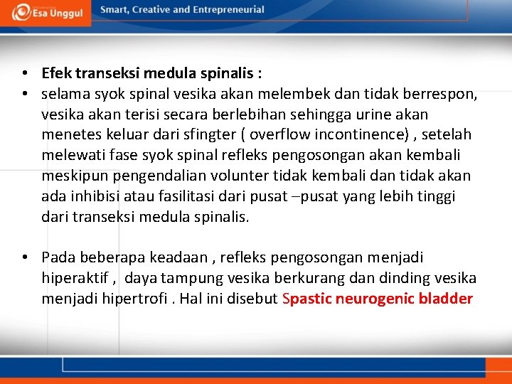  • Efek transeksi medula spinalis : • selama syok spinal vesika akan melembek