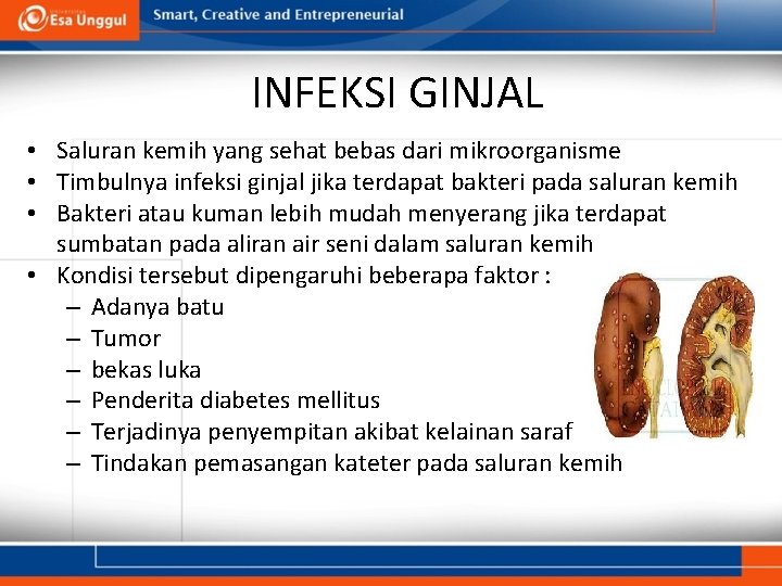 INFEKSI GINJAL • Saluran kemih yang sehat bebas dari mikroorganisme • Timbulnya infeksi ginjal