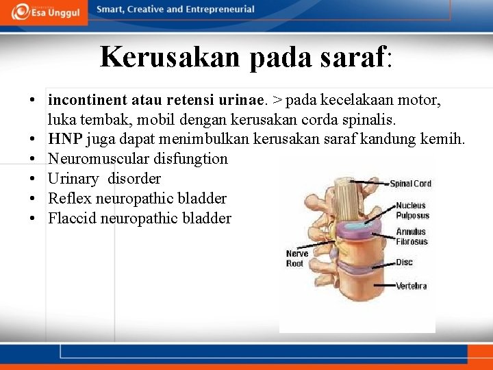 Kerusakan pada saraf: • incontinent atau retensi urinae. > pada kecelakaan motor, luka tembak,