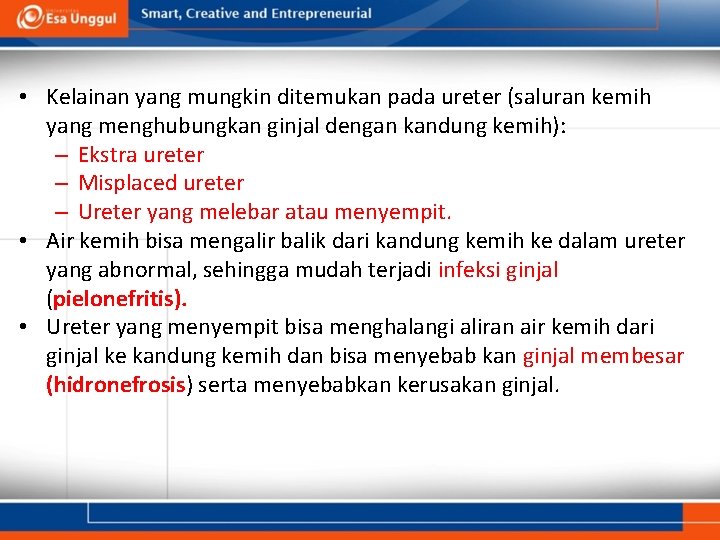  • Kelainan yang mungkin ditemukan pada ureter (saluran kemih yang menghubungkan ginjal dengan