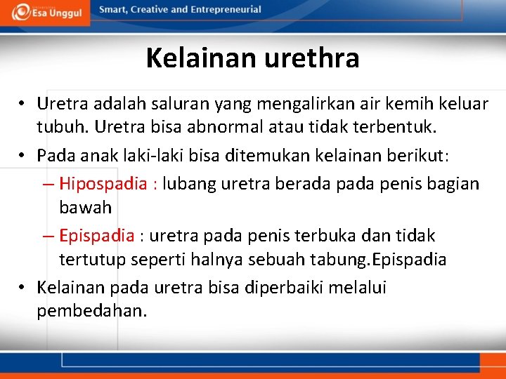 Kelainan urethra • Uretra adalah saluran yang mengalirkan air kemih keluar tubuh. Uretra bisa