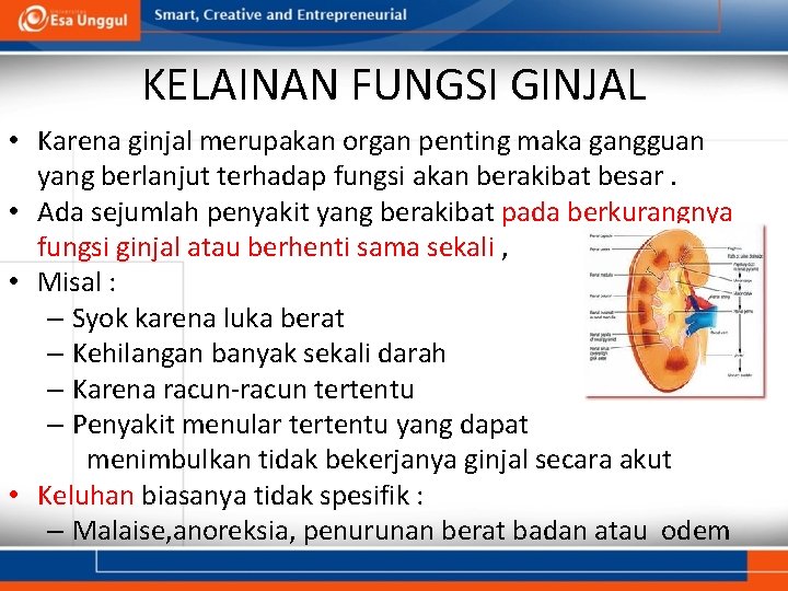 KELAINAN FUNGSI GINJAL • Karena ginjal merupakan organ penting maka gangguan yang berlanjut terhadap