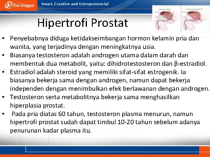 Hipertrofi Prostat • Penyebabnya diduga ketidakseimbangan hormon kelamin pria dan wanita, yang terjadinya dengan