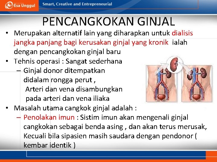 PENCANGKOKAN GINJAL • Merupakan alternatif lain yang diharapkan untuk dialisis jangka panjang bagi kerusakan