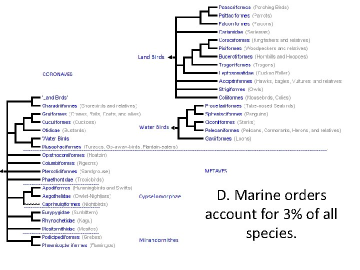 D. Marine orders account for 3% of all species. 
