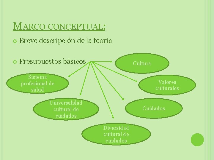 MARCO CONCEPTUAL: Breve descripción de la teoría Presupuestos básicos Cultura Sistema profesional de salud