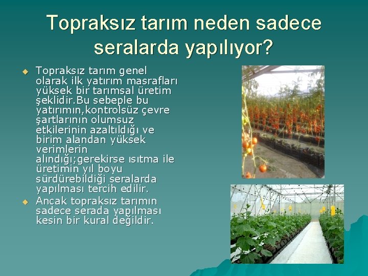 Topraksız tarım neden sadece seralarda yapılıyor? u u Topraksız tarım genel olarak ilk yatırım