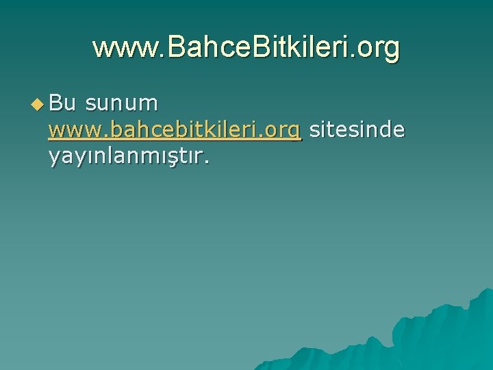www. Bahce. Bitkileri. org u Bu sunum www. bahcebitkileri. org sitesinde yayınlanmıştır. 