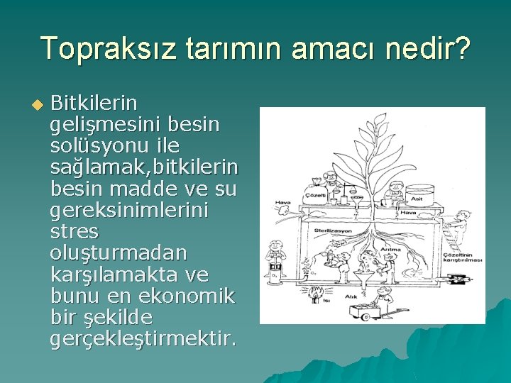 Topraksız tarımın amacı nedir? u Bitkilerin gelişmesini besin solüsyonu ile sağlamak, bitkilerin besin madde