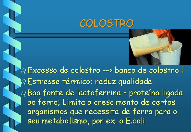 COLOSTRO b Excesso de colostro --> banco de colostro ! b Estresse térmico: reduz