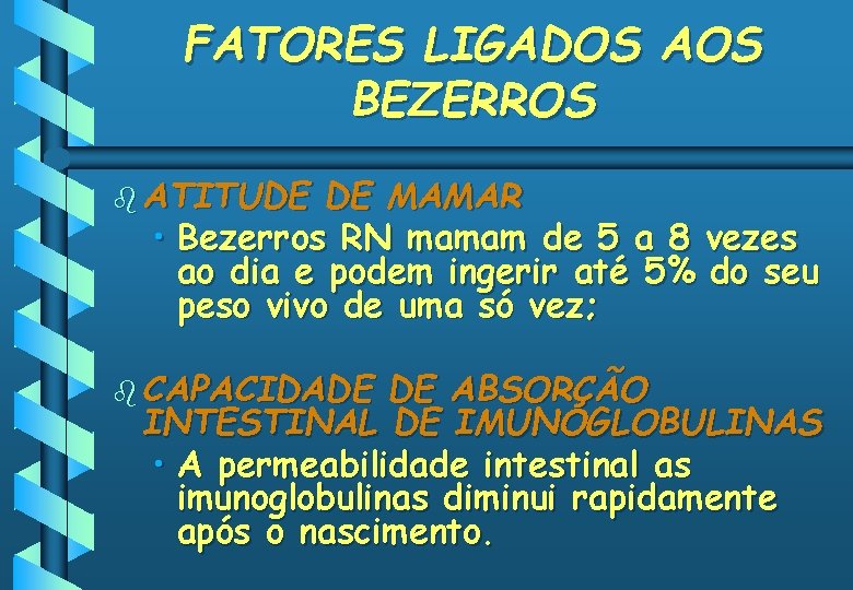 FATORES LIGADOS AOS BEZERROS b ATITUDE DE MAMAR • Bezerros RN mamam de 5