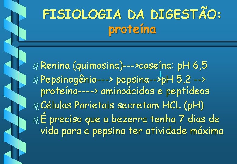 FISIOLOGIA DA DIGESTÃO: proteína b Renina (quimosina)--->caseína: p. H 6, 5 b Pepsinogênio---> pepsina-->p.