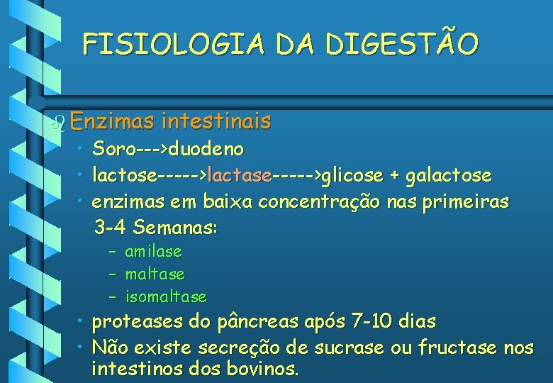 FISIOLOGIA DA DIGESTÃO b Enzimas • • • intestinais Soro--->duodeno lactose----->lactase----->glicose + galactose enzimas