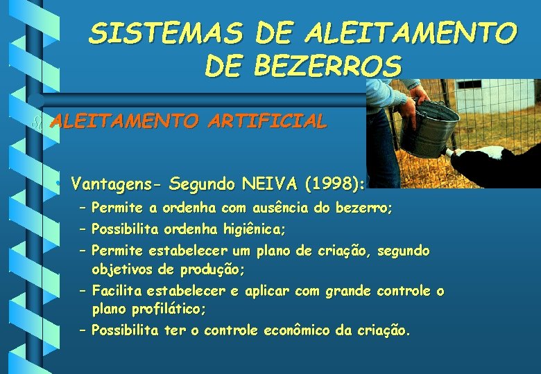 SISTEMAS DE ALEITAMENTO DE BEZERROS b ALEITAMENTO ARTIFICIAL • Vantagens- Segundo NEIVA (1998): –