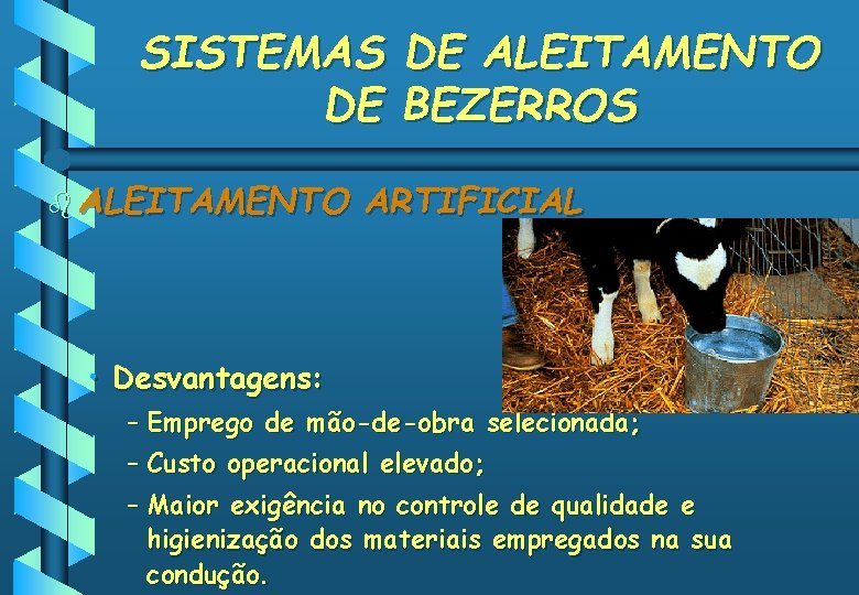 SISTEMAS DE ALEITAMENTO DE BEZERROS b ALEITAMENTO ARTIFICIAL • Desvantagens: – Emprego de mão-de-obra