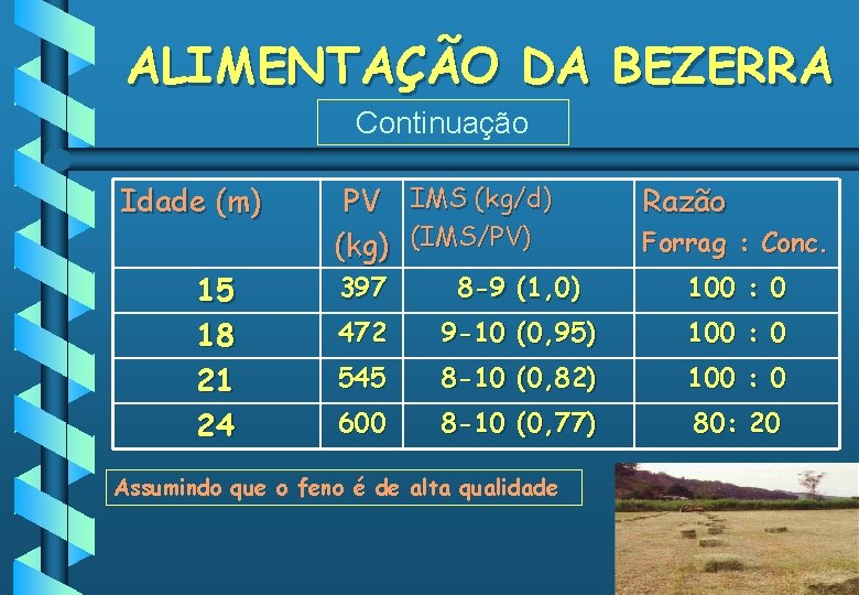 ALIMENTAÇÃO DA BEZERRA Continuação Idade (m) 15 18 21 24 PV IMS (kg/d) (kg)