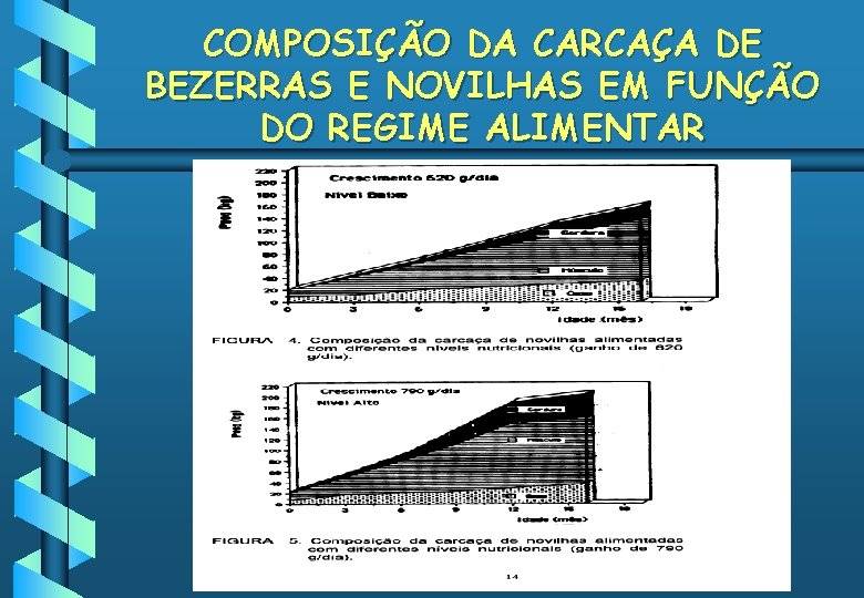 COMPOSIÇÃO DA CARCAÇA DE BEZERRAS E NOVILHAS EM FUNÇÃO DO REGIME ALIMENTAR 