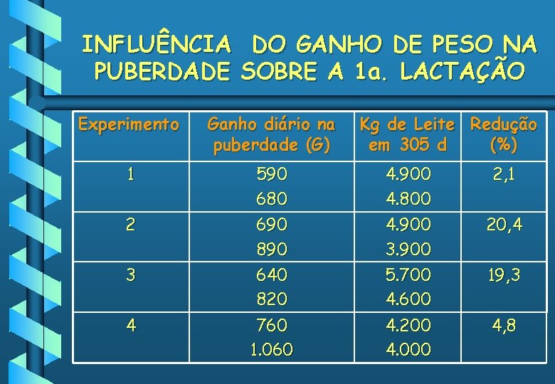 INFLUÊNCIA DO GANHO DE PESO NA PUBERDADE SOBRE A 1 a. LACTAÇÃO Experimento Ganho