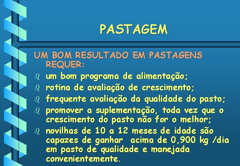 PASTAGEM UM BOM RESULTADO EM PASTAGENS REQUER: b um bom programa de alimentação; b