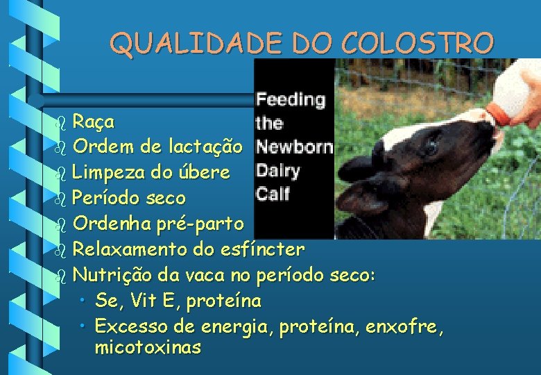 QUALIDADE DO COLOSTRO b Raça b Ordem de lactação b Limpeza do úbere b