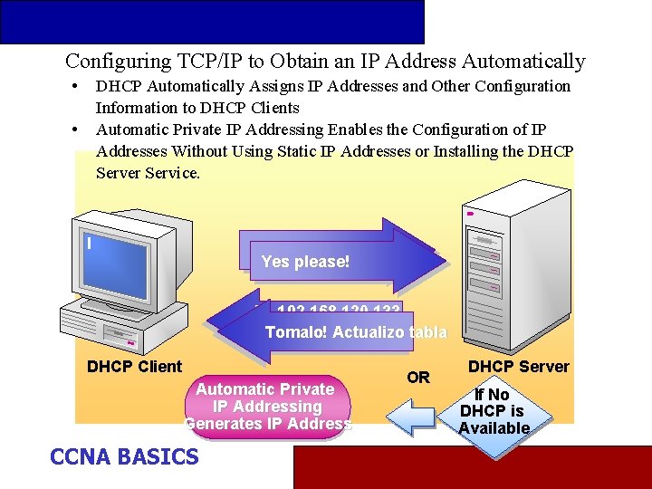 Configuring TCP/IP to Obtain an IP Address Automatically • • DHCP Automatically Assigns IP