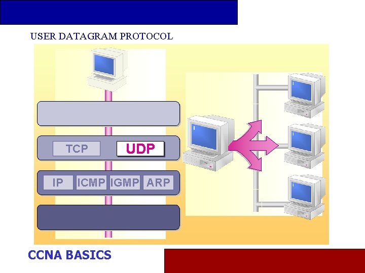 USER DATAGRAM PROTOCOL TCP IP UDP ICMP IGMP ARP CCNA BASICS 