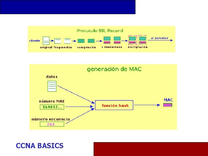 CCNA BASICS 