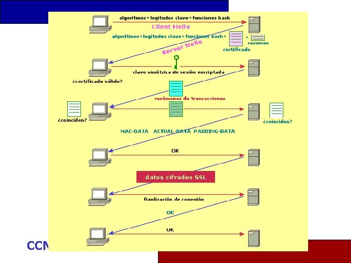 CCNA BASICS 