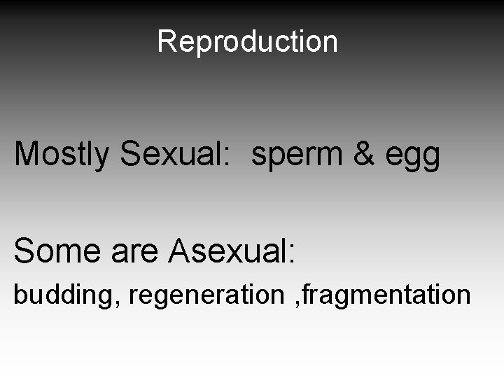 Reproduction Mostly Sexual: sperm & egg Some are Asexual: budding, regeneration , fragmentation 