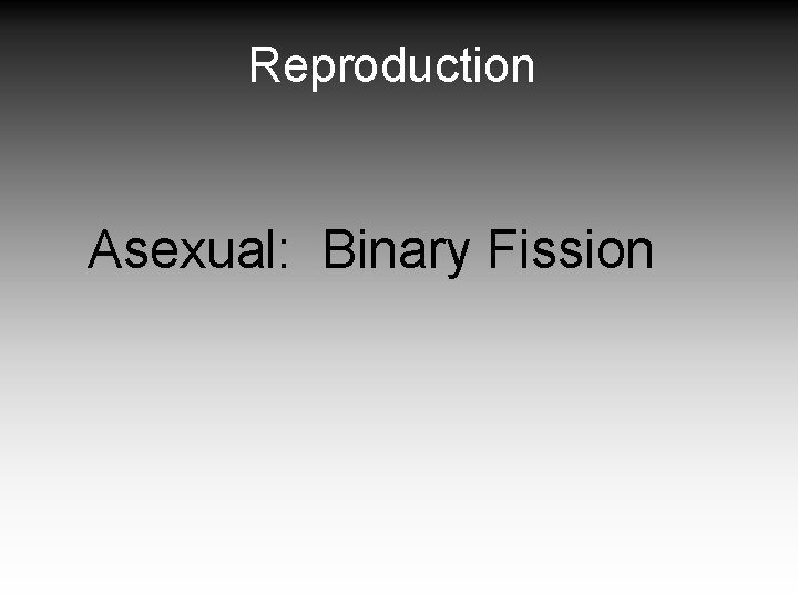 Reproduction Asexual: Binary Fission 