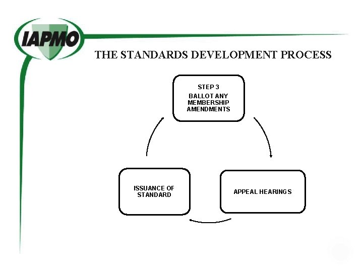 THE STANDARDS DEVELOPMENT PROCESS STEP 3 BALLOT ANY MEMBERSHIP AMENDMENTS ISSUANCE OF STANDARD APPEAL