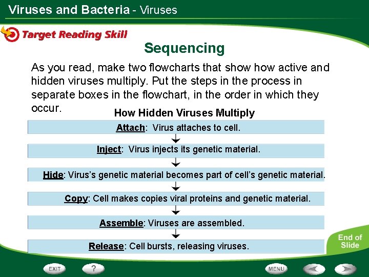 Viruses and Bacteria - Viruses Sequencing As you read, make two flowcharts that show Viruses and Bacteria - Viruses Sequencing As you read, make two flowcharts that show