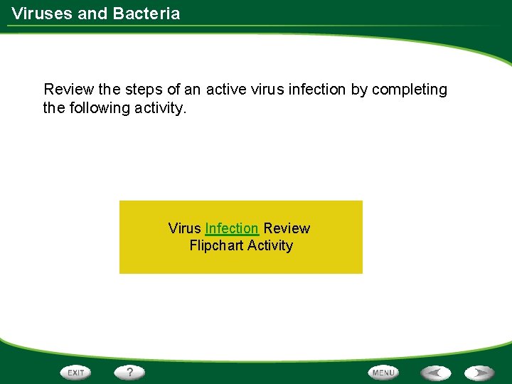 Viruses and Bacteria Review the steps of an active virus infection by completing the