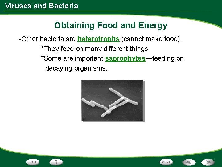 Viruses and Bacteria Obtaining Food and Energy -Other bacteria are heterotrophs (cannot make food). Viruses and Bacteria Obtaining Food and Energy -Other bacteria are heterotrophs (cannot make food).