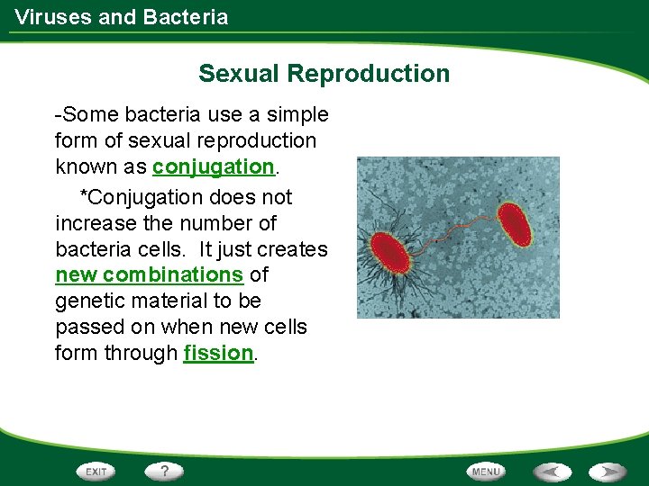 Viruses and Bacteria Sexual Reproduction -Some bacteria use a simple form of sexual reproduction