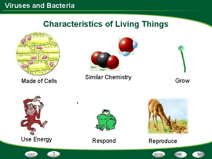 Viruses and Bacteria Characteristics of Living Things Made of Cells Use Energy Similar Chemistry