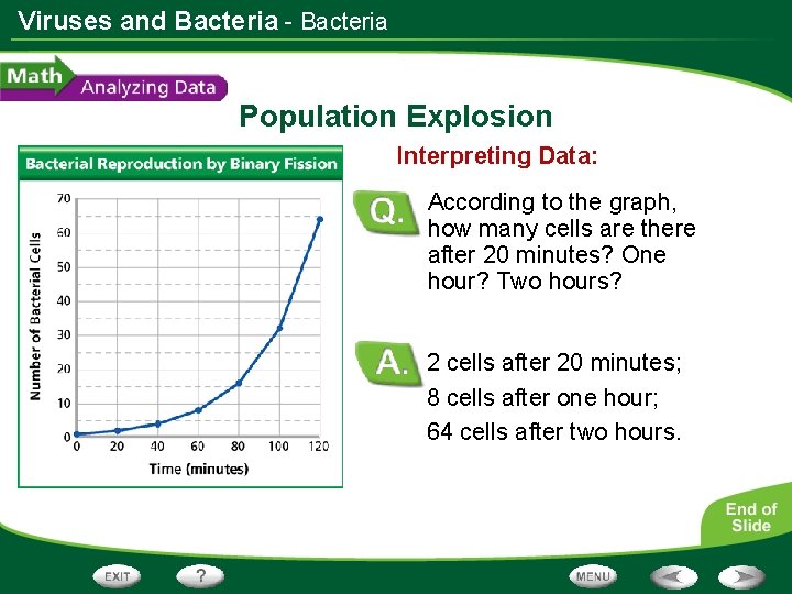 Viruses and Bacteria - Bacteria Population Explosion Interpreting Data: According to the graph, how