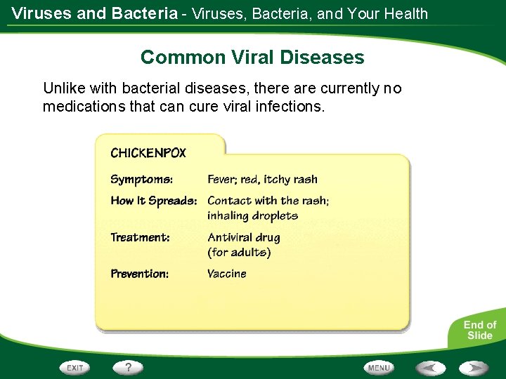 Viruses and Bacteria - Viruses, Bacteria, and Your Health Common Viral Diseases Unlike with