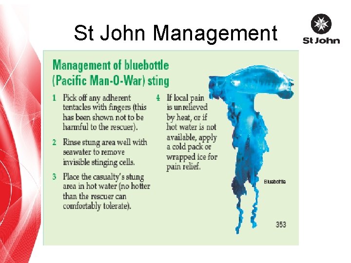 St John Management 