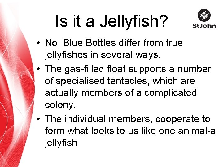 Is it a Jellyfish? • No, Blue Bottles differ from true jellyfishes in several