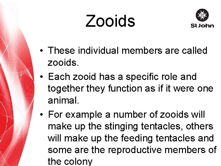 Zooids • These individual members are called zooids. • Each zooid has a specific