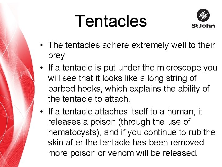 Tentacles • The tentacles adhere extremely well to their prey. • If a tentacle