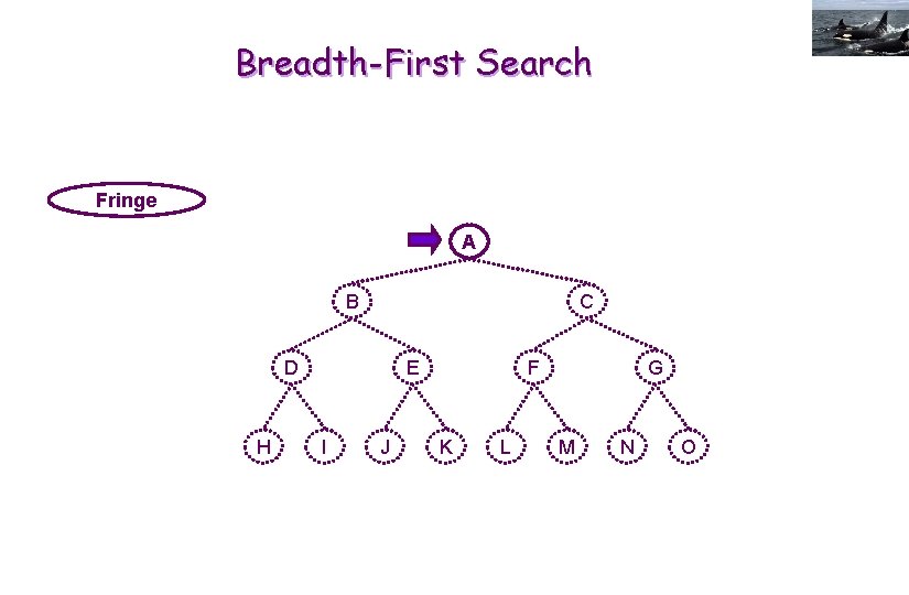 Breadth-First Search Fringe A B C D H E I J F K L