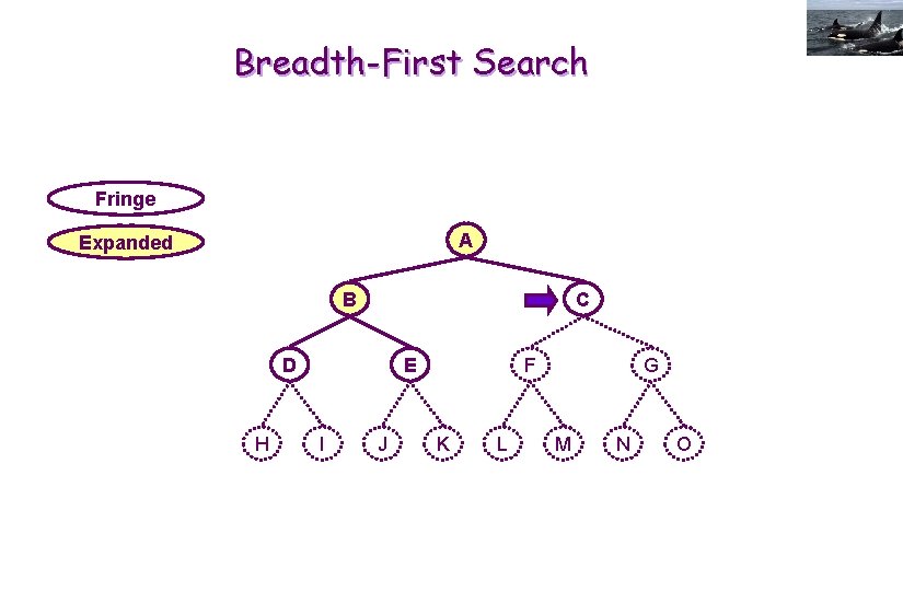 Breadth-First Search Fringe A Expanded B C D H E I J F K