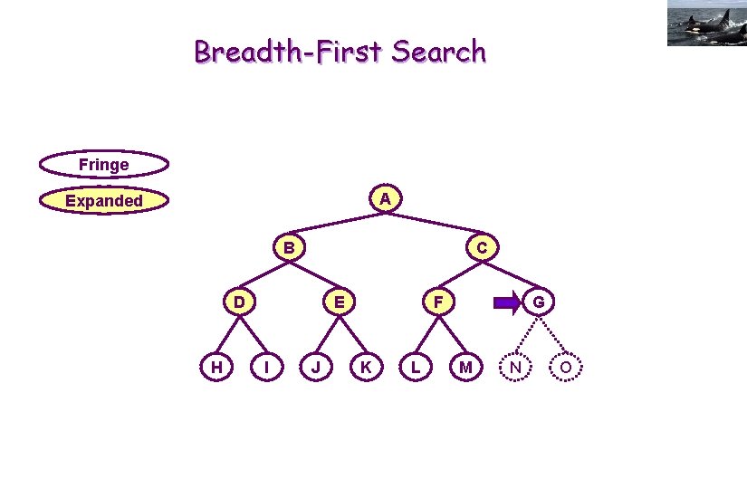 Breadth-First Search Fringe A Expanded B C D H E I J F K