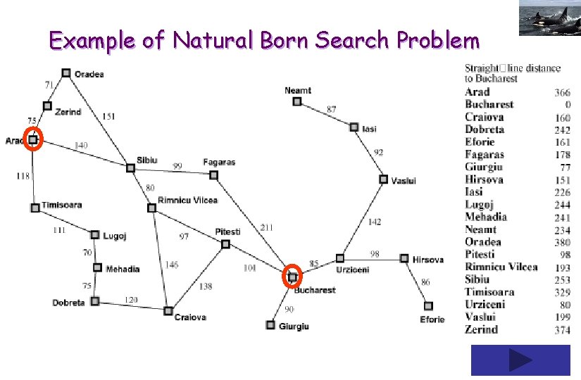 Example of Natural Born Search Problem 