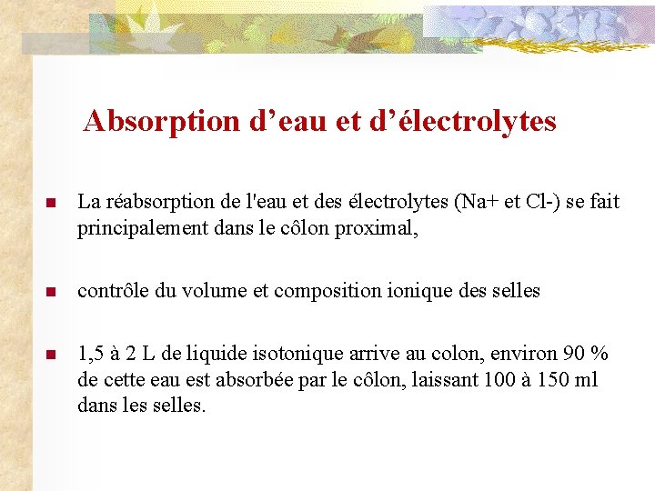 Absorption d’eau et d’électrolytes n La réabsorption de l'eau et des électrolytes (Na+ et